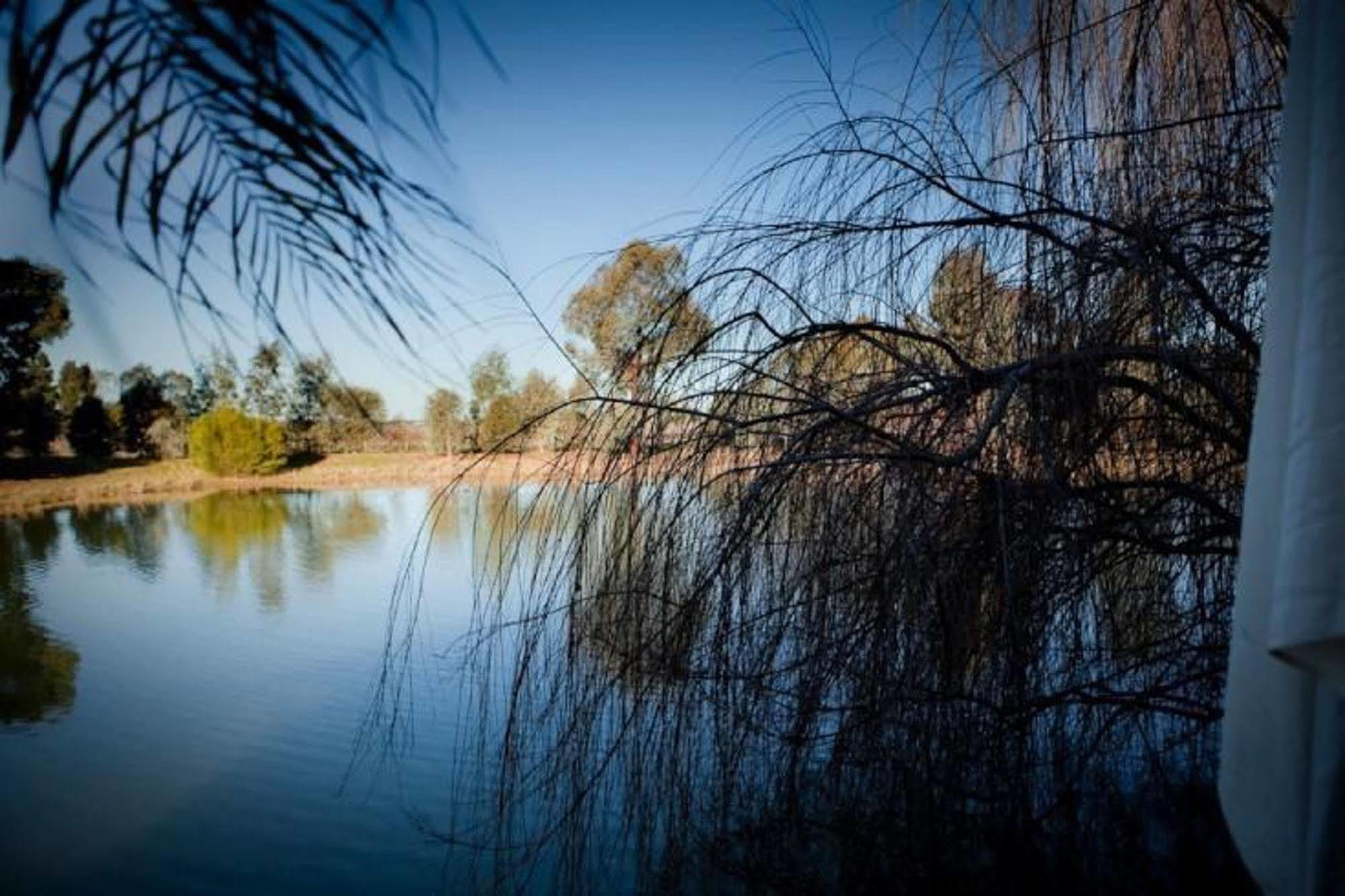 Perricoota Vines Retreat Hotel Moama Exterior photo